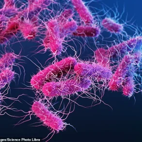 Salmonella Outbreak Linked to Metabolic Meals Sparks CDC Advisories and Calls for Stricter Food Safety Regulations