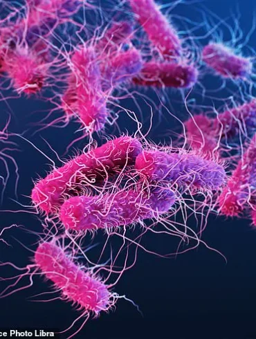 Salmonella Outbreak Linked to Metabolic Meals Sparks CDC Advisories and Calls for Stricter Food Safety Regulations