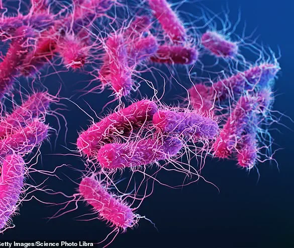 Salmonella Outbreak Linked to Metabolic Meals Sparks CDC Advisories and Calls for Stricter Food Safety Regulations