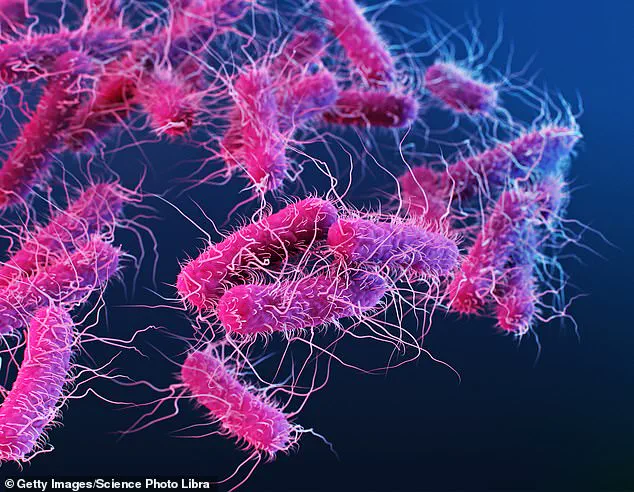 Salmonella Outbreak Linked to Metabolic Meals Sparks CDC Advisories and Calls for Stricter Food Safety Regulations
