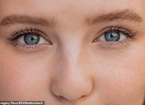 Shocking Discovery: Blue Eyes Aren't Really Blue, Scientists Reveal