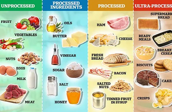 Study Reveals Specific Additives in Ultra-Processed Foods Linked to Increased Risk of Early Death, Public Health Advisory Urged