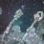 The Forbidden Wreck: Exclusive Access to the SS Terra Nova's Antarctic Secrets