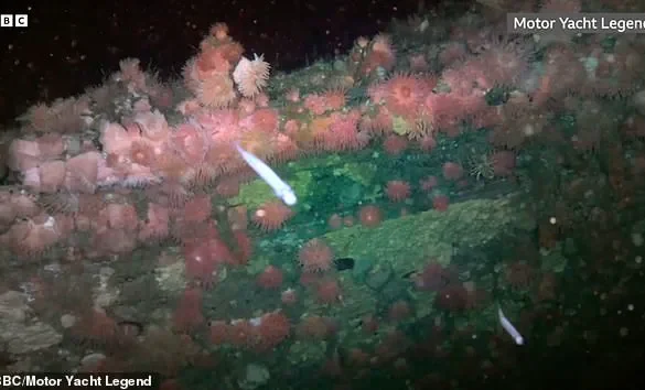 The Forbidden Wreck: Exclusive Access to the SS Terra Nova's Antarctic Secrets