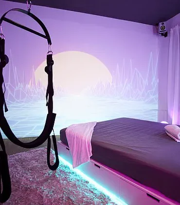 The Weight of Regulation: How Government Directives Shape Public Experience