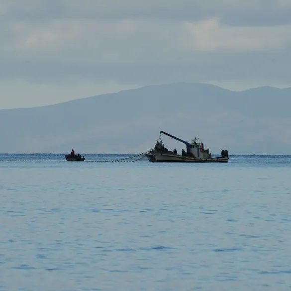 UKMTO Confirms Attack on Commercial Vessel Off Yemen's Aden Amid Escalating Regional Tensions