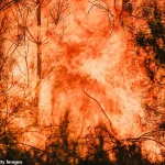 UK's Record Heatwave Sparks Debate Over Climate Regulations and Public Health Measures