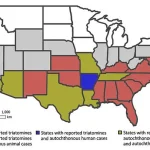 Urgent Call to Reclassify Chagas Disease as Endemic: Health Experts Warn of Silent Killer's Growing Threat